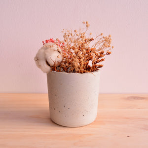 Cement plant pot
