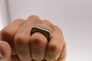 Anillo de skate
