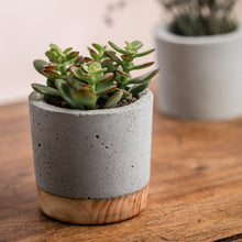 Cargar imagen en el visor de la galería, Cement and wood combination plant pot - El Arce Imaginario