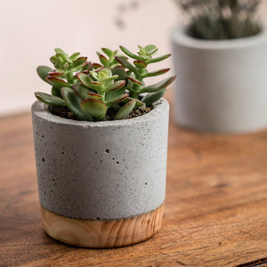 Cement and wood combination plant pot - El Arce Imaginario