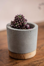 Cargar imagen en el visor de la galería, Cement and wood combination plant pot - El Arce Imaginario