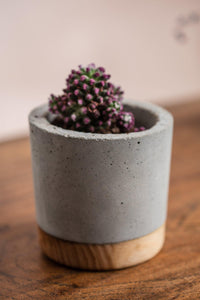 Cement and wood combination plant pot - El Arce Imaginario