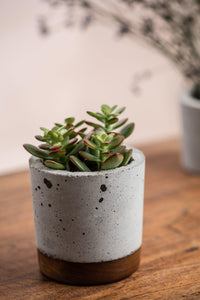 Cement and wood combination plant pot - El Arce Imaginario